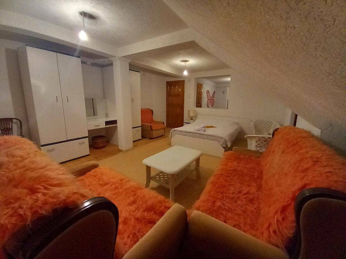 Apartment Little Village Плав Екстериор снимка