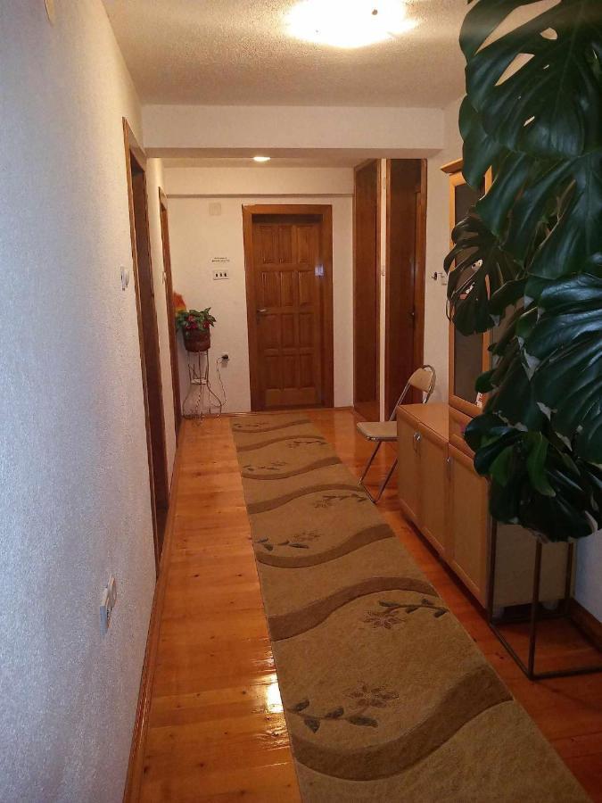 Apartment Little Village Плав Екстериор снимка